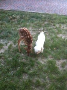 black and white 112006 030